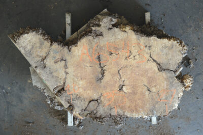 Maple (Big Leaf) Board BA6543