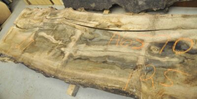 Elm (English Wych) Board BA6570