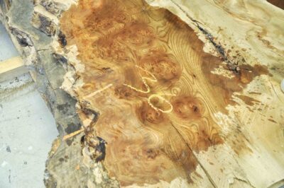 Elm (English Wych) Board BA6575