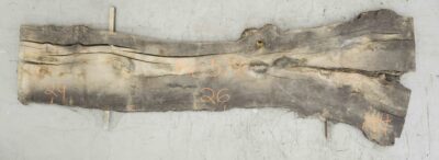 Elm (English Wych) Board BA6576