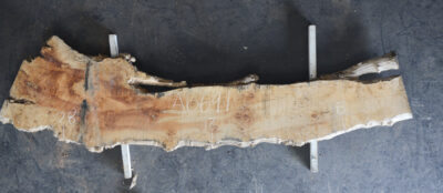 Myrtle (Tasmanian) Board BA6691