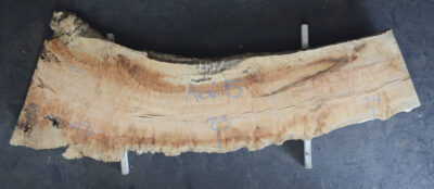 Myrtle (Tasmanian) Board BA6695