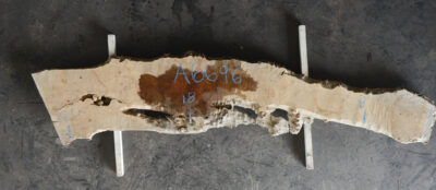 Myrtle (Tasmanian) Board BA6696