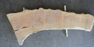 Myrtle (Tasmanian) Board BA6699