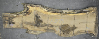 Walnut (Claro) Board BA7275