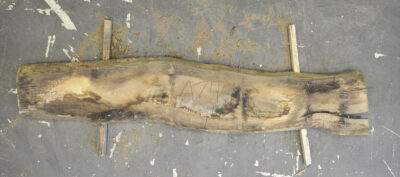 Elm (English Wych) Board BA7498
