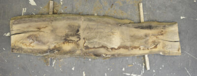 Elm (English Wych) Board BA7500