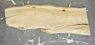 Elm (English Wych) Board BA7501