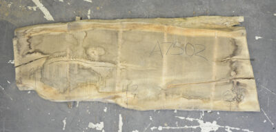 Elm (English Wych) Board BA7502