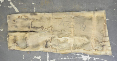 Elm (English Wych) Board BA7504