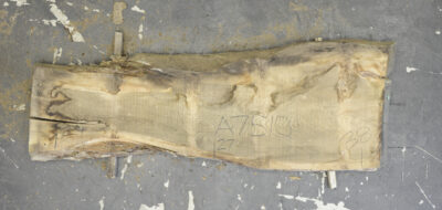 Elm (English Wych) Board BA7510
