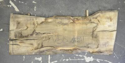 Elm (English Wych) Board BA7515