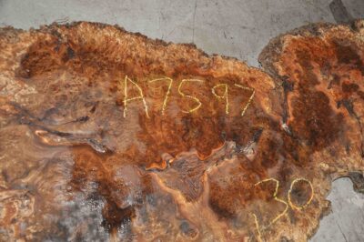Elm (English Wych) Board BA7597