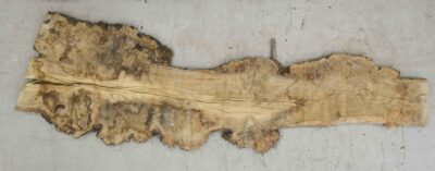 Elm (English Wych) Board BA7600