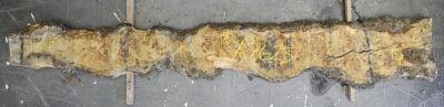 Oak (European) Board BA7625