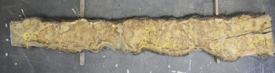 Oak (European) Board BA7626