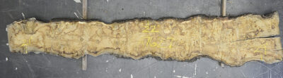Oak (European) Board BA7627