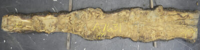 Oak (European) Board BA7631