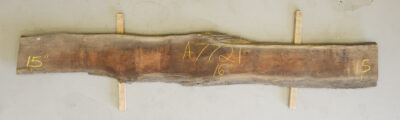 Blackwood (Tasmanian) Board BA7721