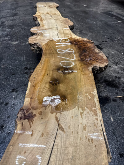 Elm (English Wych) Board BA8701
