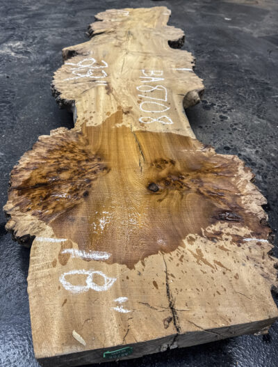 Elm (English Wych) Board BA8708