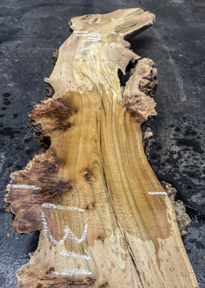 Elm (English Wych) Board BA8717