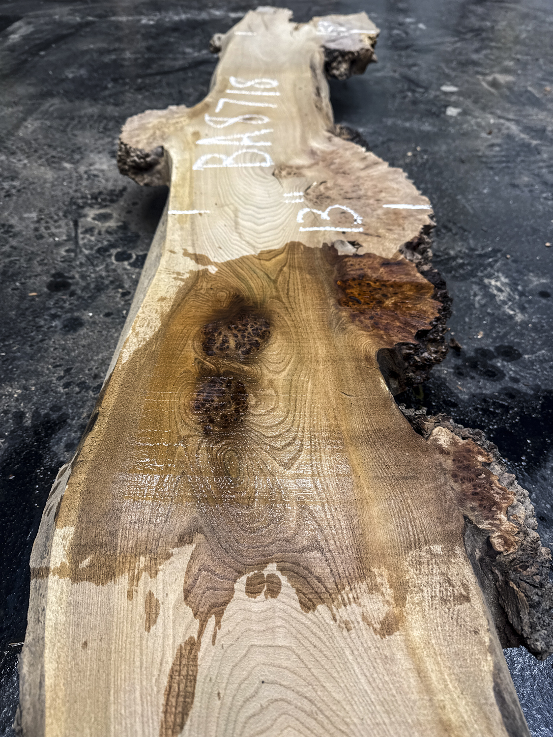 Elm (English Wych) Board BA8718