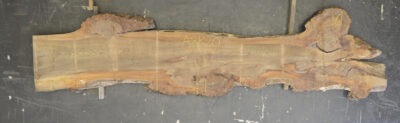 Elm (English Wych) Board BA8820