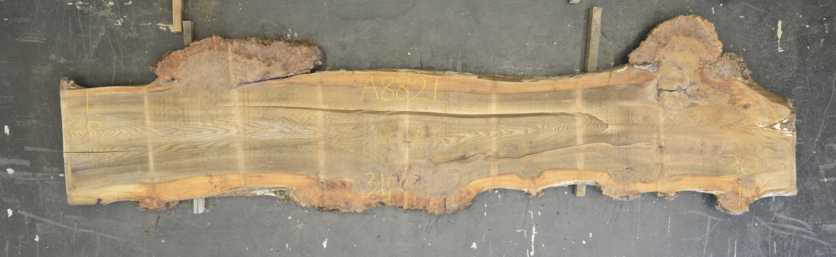 Elm (English Wych) Board BA8821