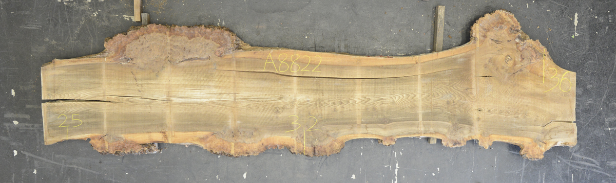 Elm (English Wych) Board BA8822