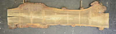 Elm (English Wych) Board BA8823