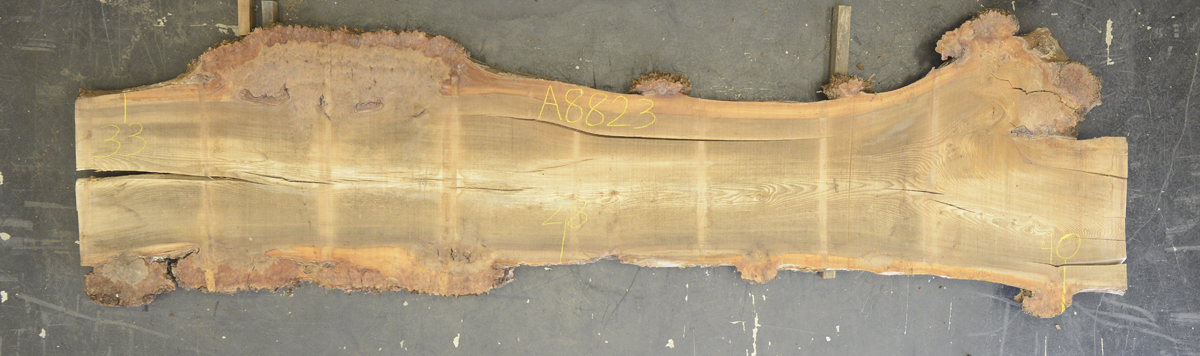 Elm (English Wych) Board BA8823