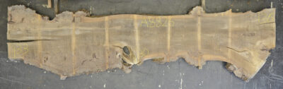 Elm (English Wych) Board BA8826