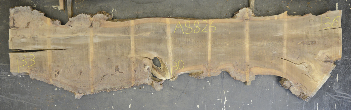 Elm (English Wych) Board BA8826