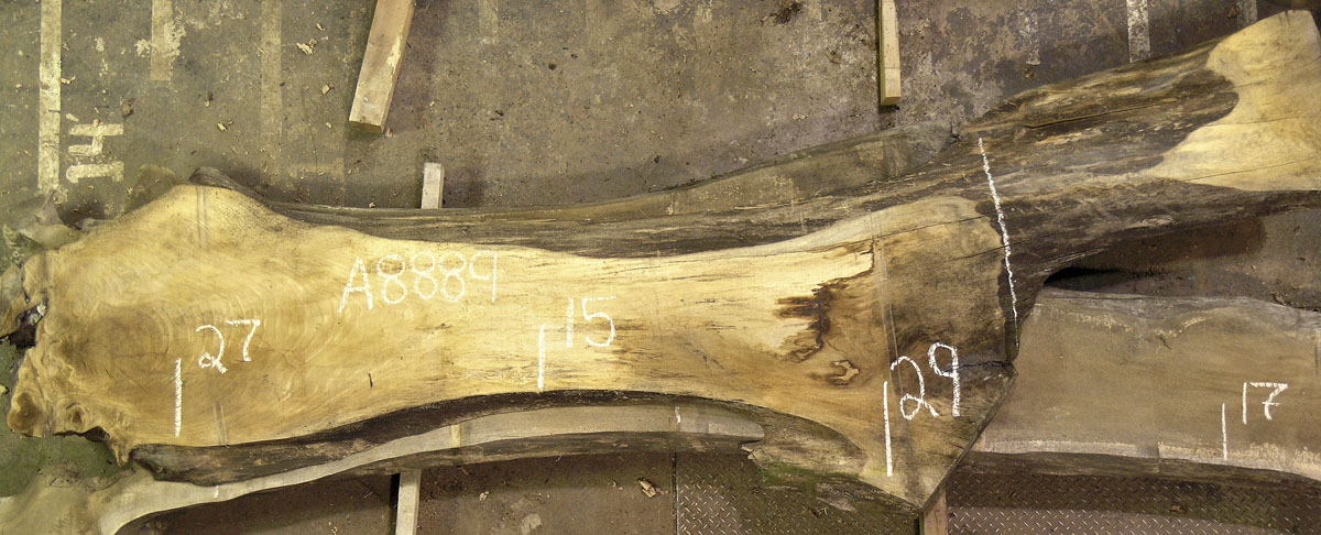 Walnut (European) Board BA8889