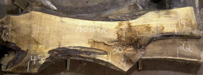 Walnut (European) Board BA8892