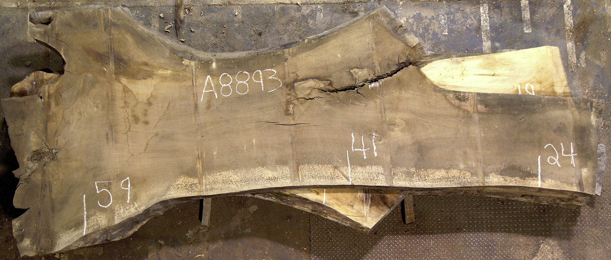 Walnut (European) Board BA8893