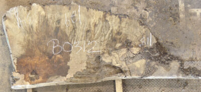 Oak (European) Board BB0312