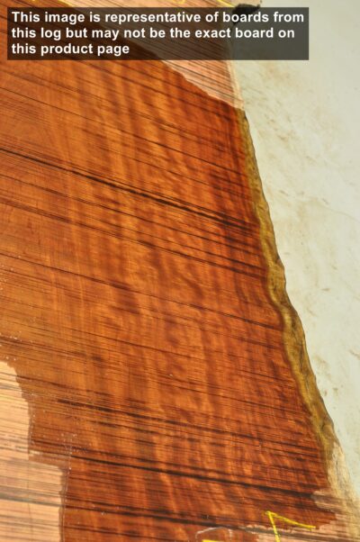 Bubinga Board BB0966