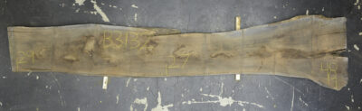 Walnut (Black) Board BB3132