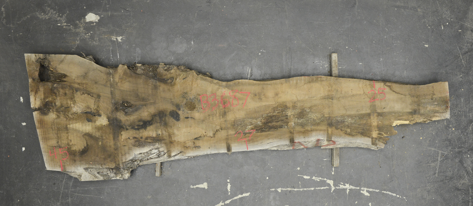 Walnut (European) Board BB3687