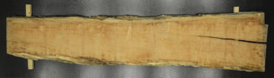 Myrtle (Tasmanian) Board BB3957