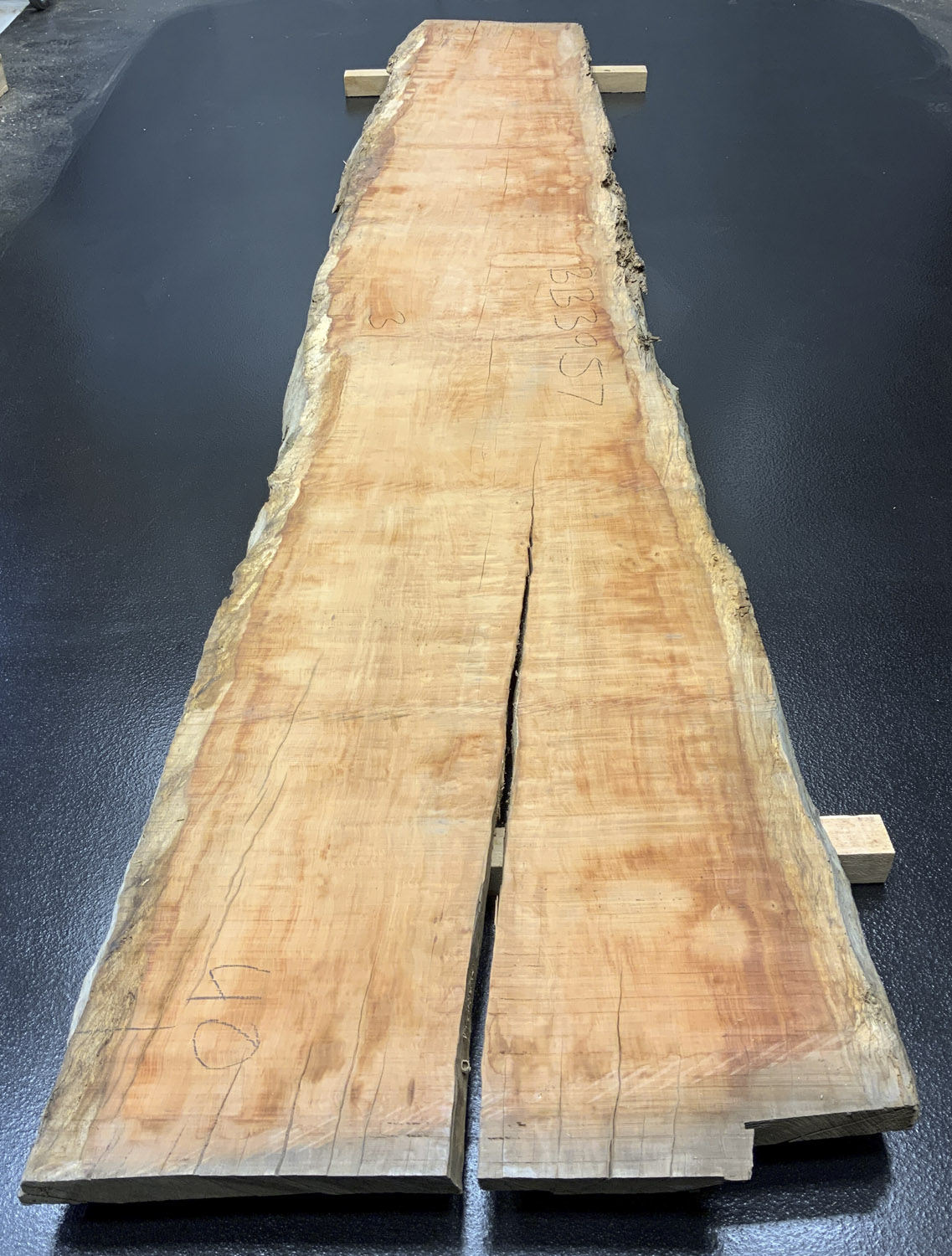 Myrtle (Tasmanian) Board BB3957