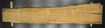 Myrtle (Tasmanian) Board BB3958