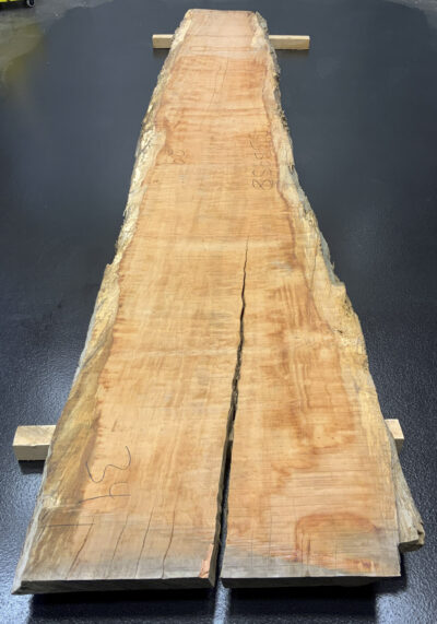 Myrtle (Tasmanian) Board BB3958