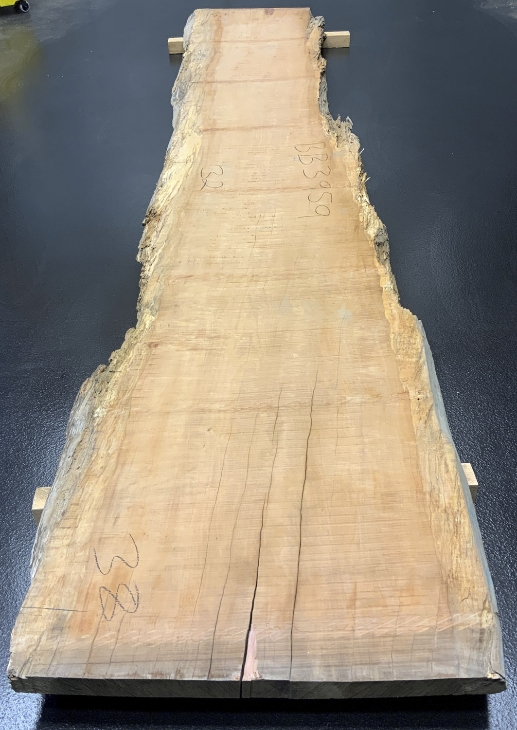 Myrtle (Tasmanian) Board BB3959