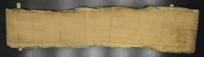 Myrtle (Tasmanian) Board BB3960