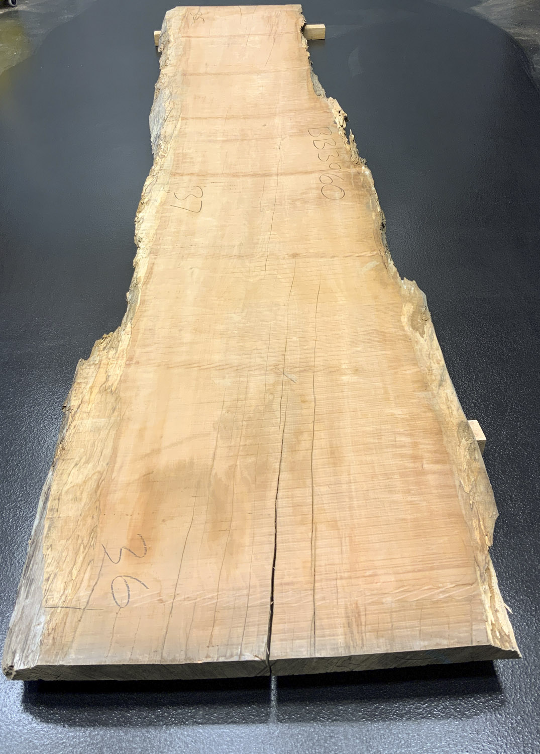 Myrtle (Tasmanian) Board BB3960