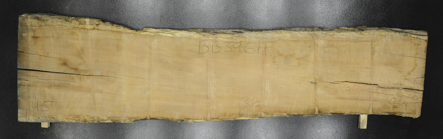 Myrtle (Tasmanian) Board BB3961
