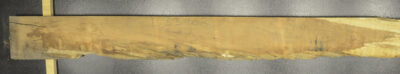 Myrtle (Tasmanian) Board BB3962